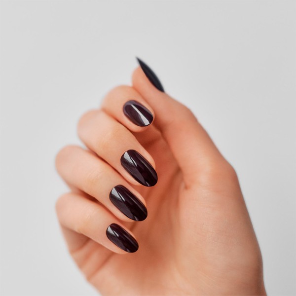 SHELLAC FEDORA 7.3 ML